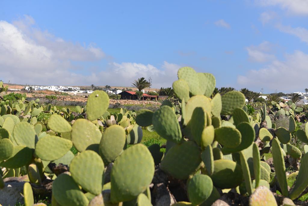 Villa Taguluche فامارا المظهر الخارجي الصورة